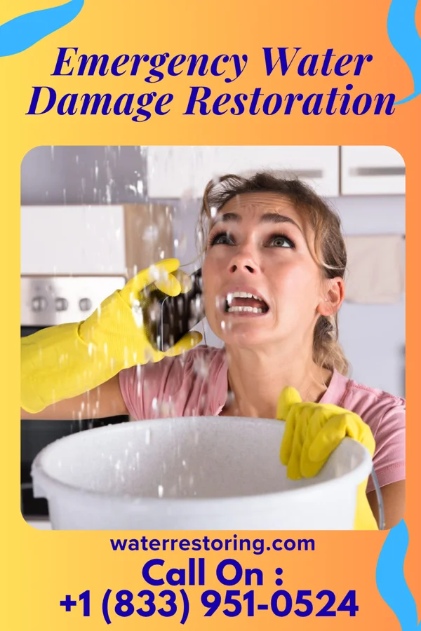 Emergency Water Damage Restoration in Edgewood, WA